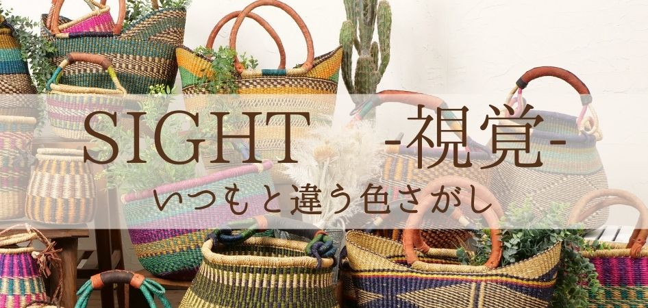 視覚　いつもと違う色さがし