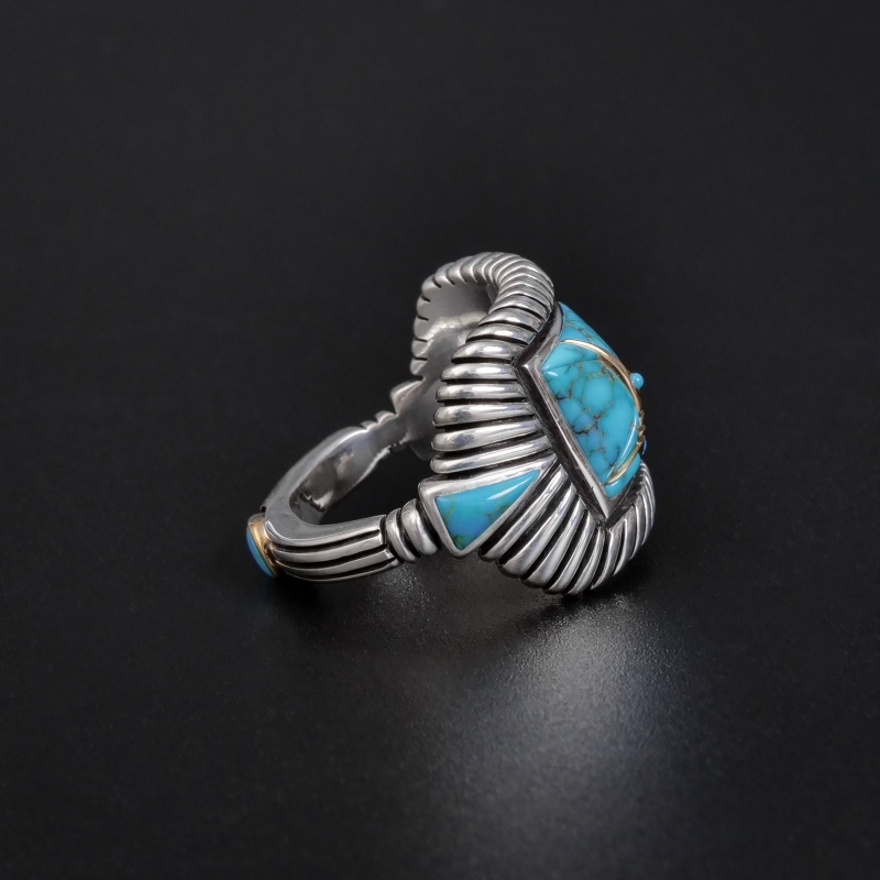 コレクションアイテム】20号相当 レイモンドヤジー ローンマウンテン