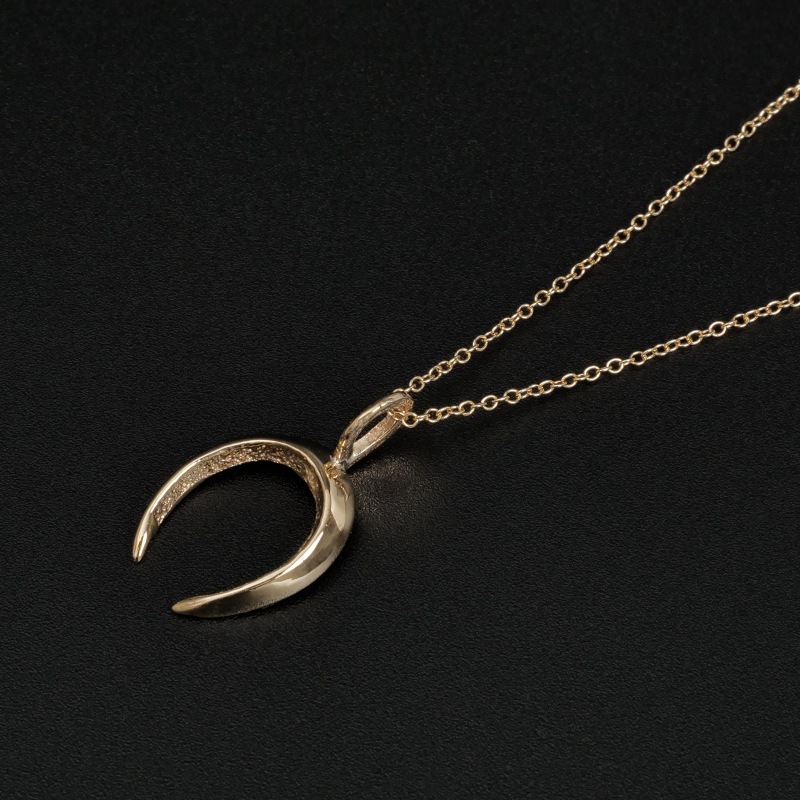 アーロンアンダーソン　ネックレス シルバー 楽天市場】インディアンジュエリー 【 Aaron Anderson / ライトニング