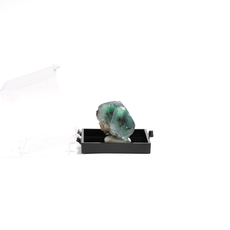 ナミビア・エロンゴ鉱山 フローライト原石 〈ケース付き〉＜BOOK掲載品