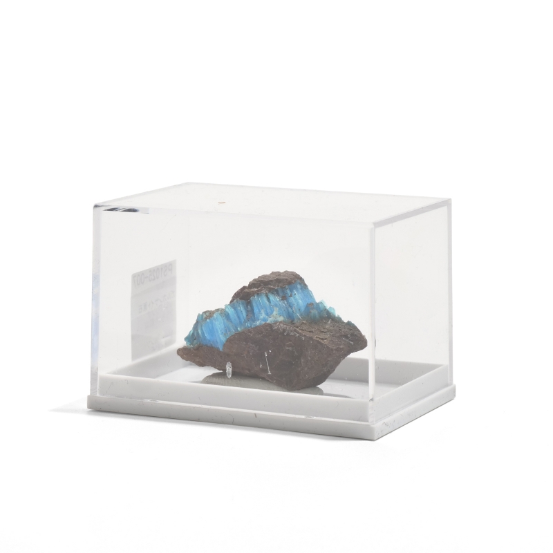 送料無料 ブラジル　石細工金鍍金宝石箱 バハマの沈没船から366年前の財宝がザクザク見つかる - GIGAZINE