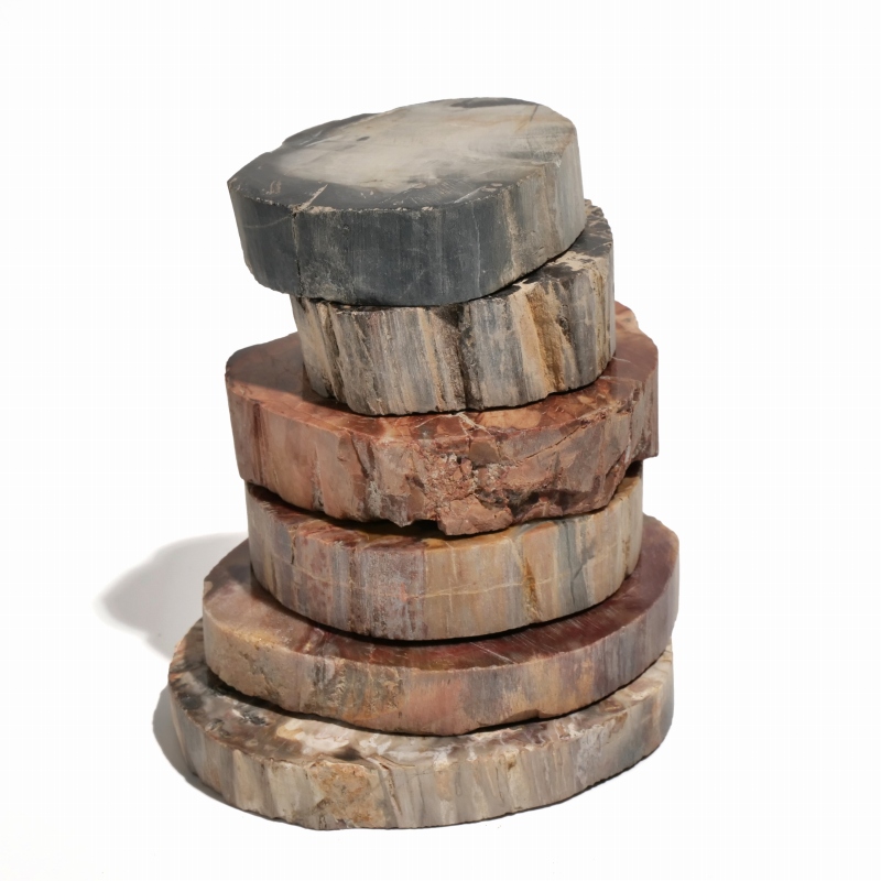 珪化木スライス｜マライカ公式通販