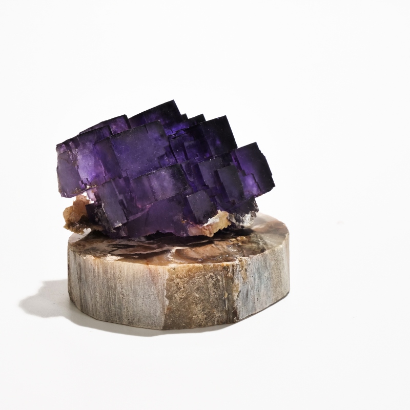 珪化木スライス ペトリファイドウッド 木の化石｜マライカ公式通販