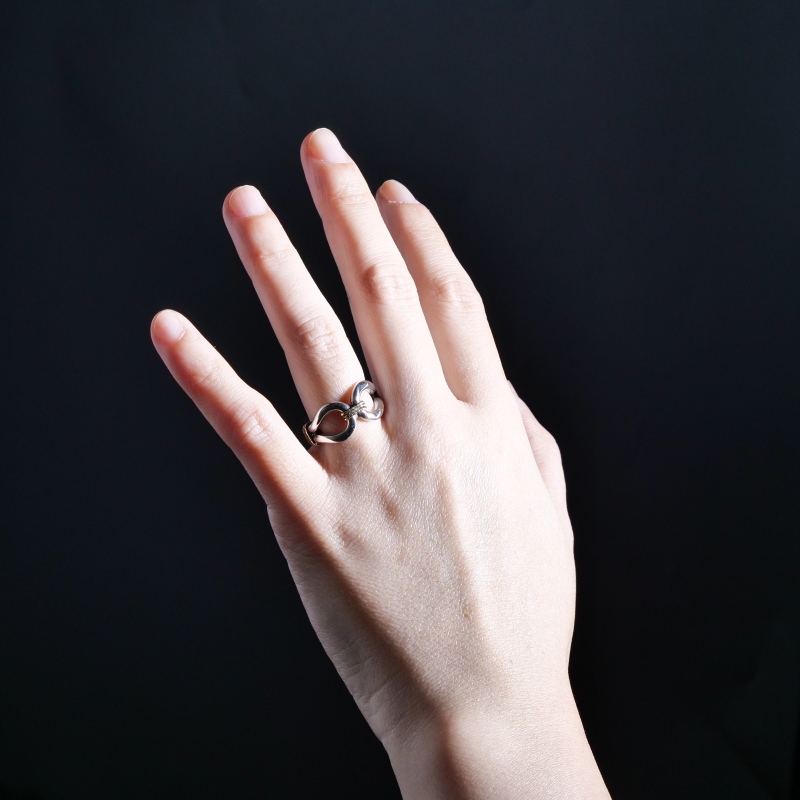 11号相当 スティーブアルビソ 14金コンビホースウィスパラー リング